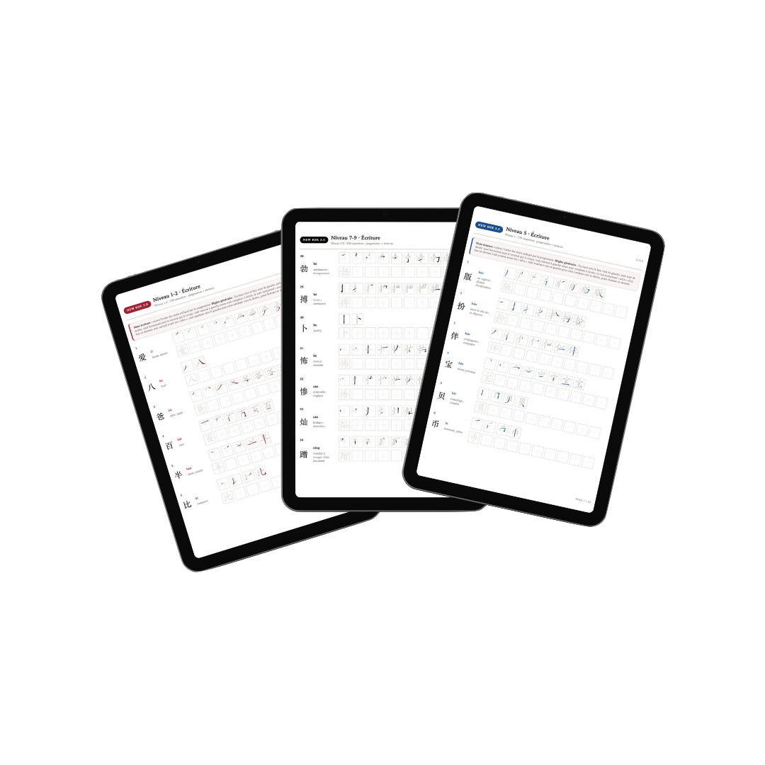 Écriture HSK - Niveau au choix